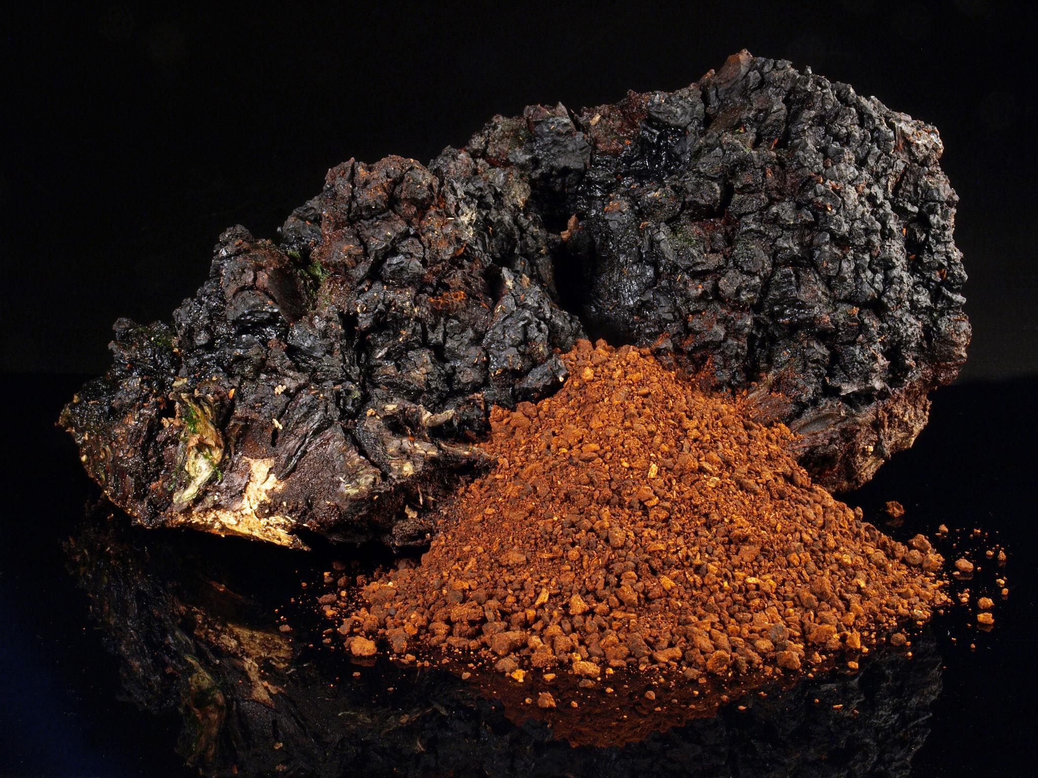 Chaga conk beside ground Chaga powder