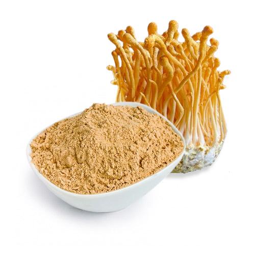 Cordyceps mushrooms beside a bowl of Cordyceps powder