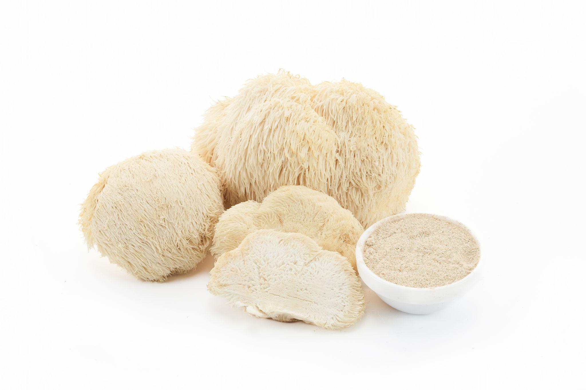 Lion's Mane mushrooms beside a bowl of Lion's Mane powder
